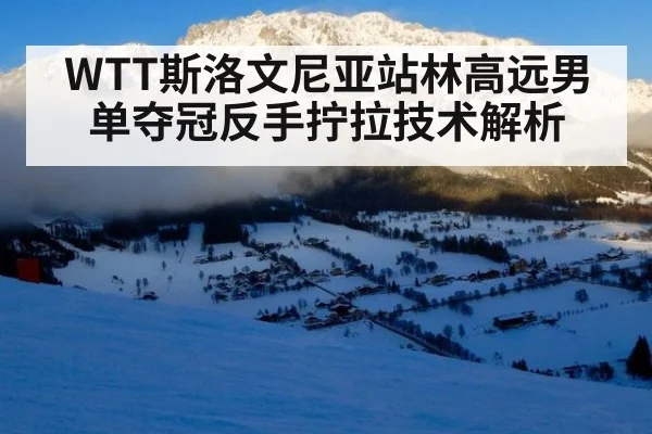WTT斯洛文尼亚站林高远男单夺冠反手拧拉技术解析