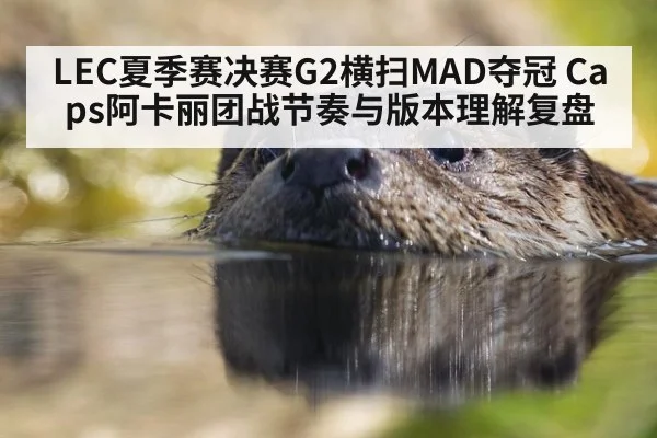 LEC夏季赛决赛G2横扫MAD夺冠 Caps阿卡丽团战节奏与版本理解复盘