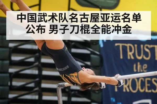 中国武术队名古屋亚运名单公布 男子刀棍全能冲金 - ag九游会