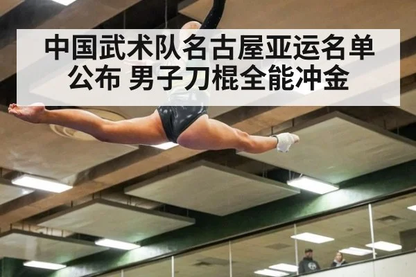 中国武术队名古屋亚运名单公布 男子刀棍全能冲金 - ag九游会